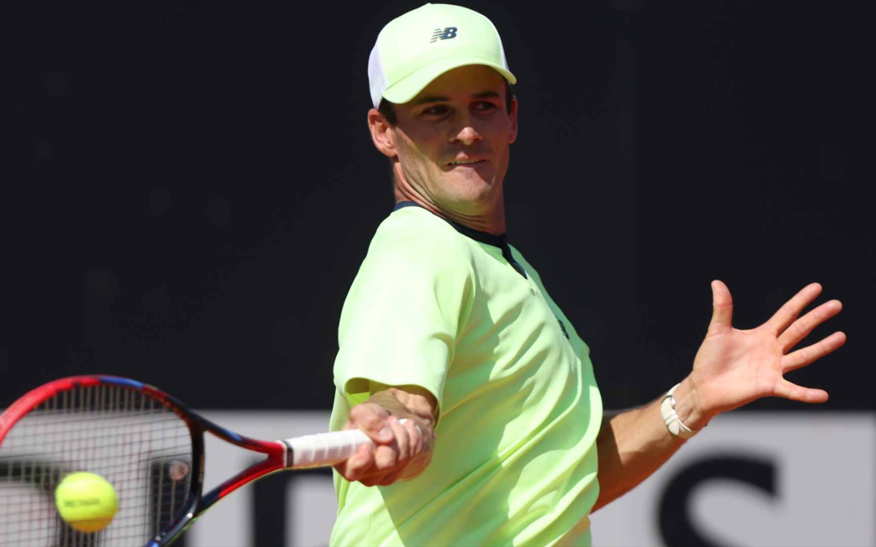 羊了个羊 羊了个羊