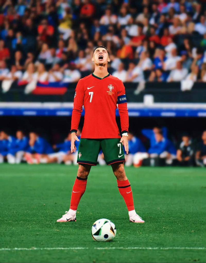 业带与多族 业带与多族